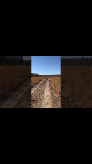 Astro He’s loving his new properties