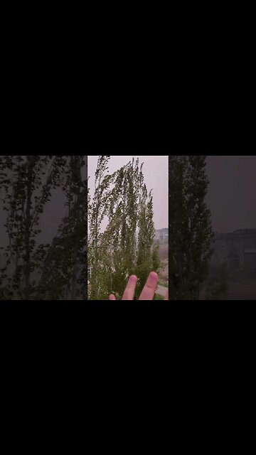 STATE OF EMERGENCY ALBERTA CANADA 🇨🇦 ECOLOGICAL DISASTER A RESULT OF DIVERSITY HIRING GOVT POLICIES