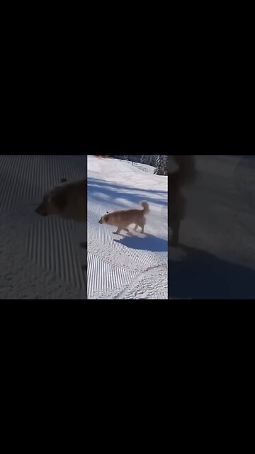 Me riding the market down 😂