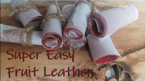 2 Ingredient Fruit Leather ~ Dehydrate ~ Simple