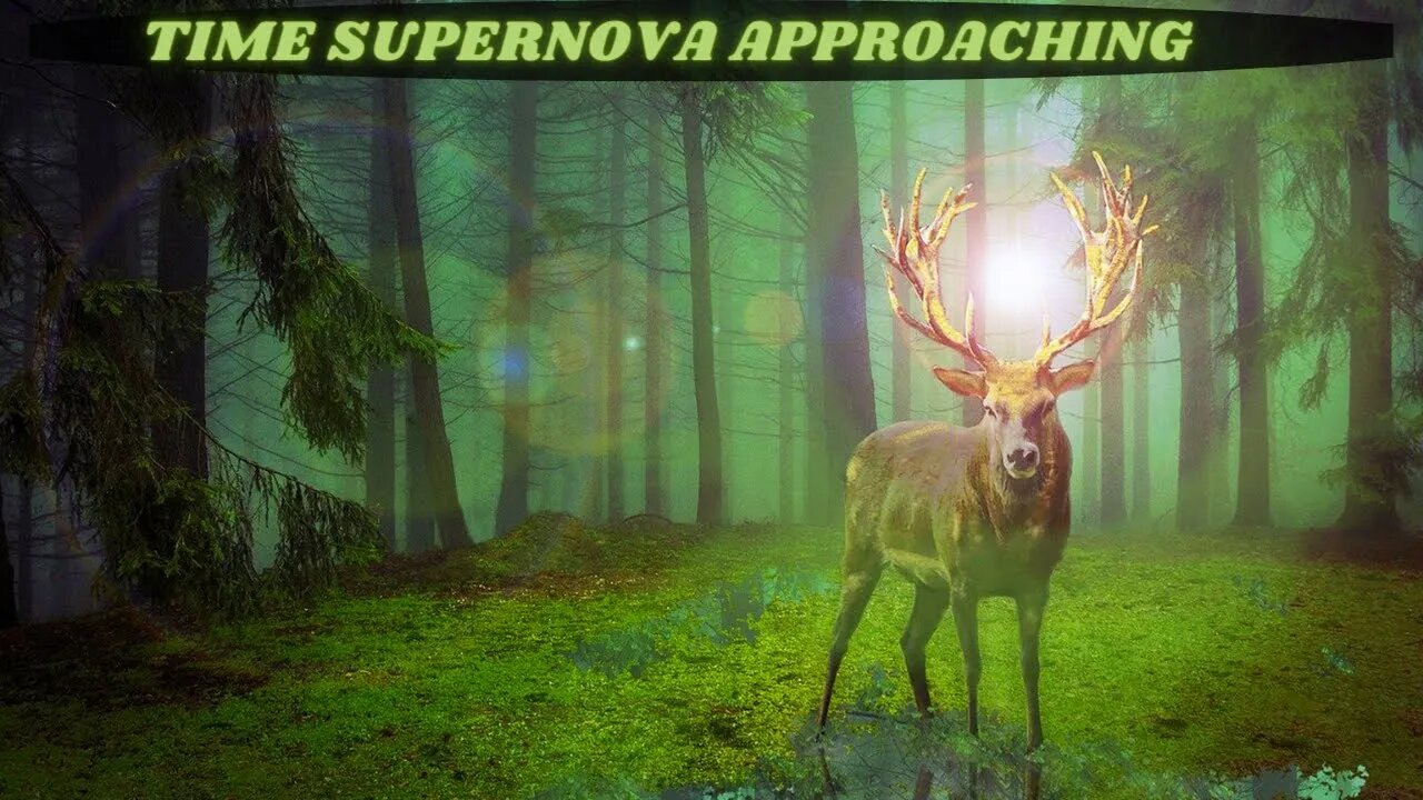 TIME SUPERNOVA APPROACHING ~ IN THE LIGHT OF TRUTH ~ ‘’The Seeds of Life are Blossoming!