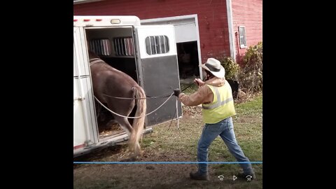 Hank line driving into and out of trailer 20 Oct 2022
