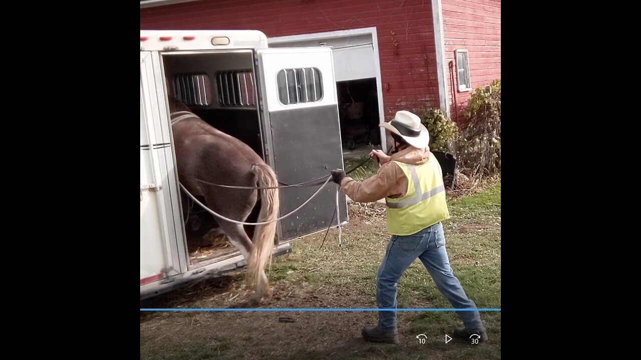 Hank line driving into and out of trailer 20 Oct 2022