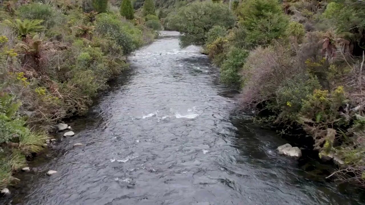 Fly Fishing The Best Trout Stream I’ve Ever seen.-9