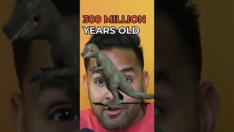 Your Brain is a reptile #shorts