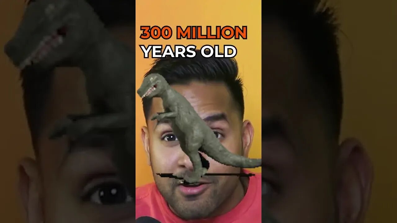 Your Brain is a reptile #shorts