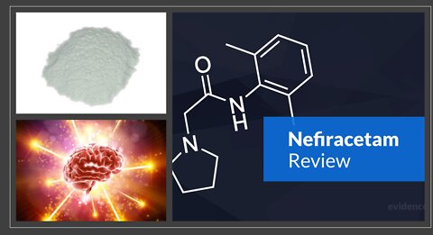 Nefiracetam