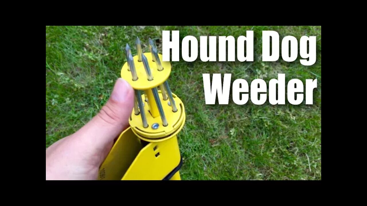 Hound Dog HDP34 Weed Hound Elite Stand Up weeder Weeding Tool by The Ames Companies