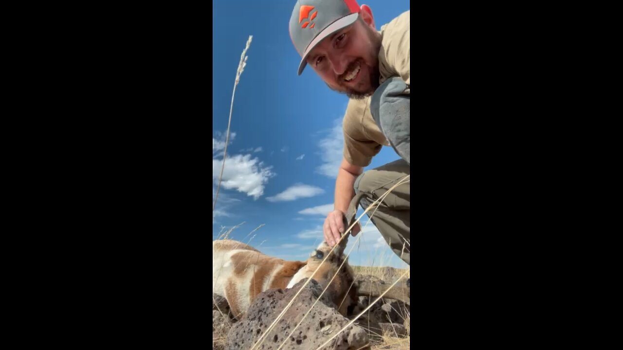 Spot and Stock Muzzleloader Antelope