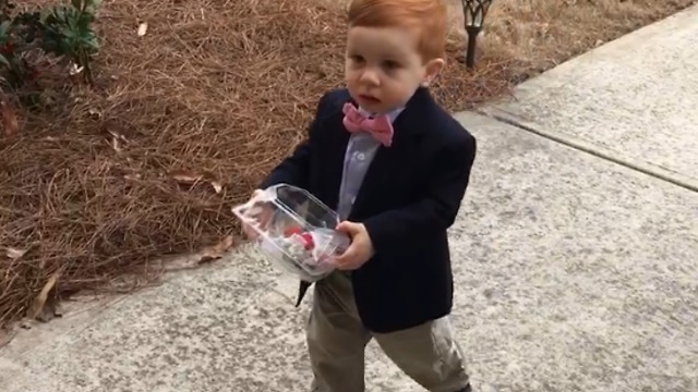 Shy Toddler Boy Gives His Toddler Girl Crush Flowers