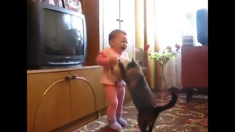 Mama Cat Takes Back Crying Kitten From Toddler