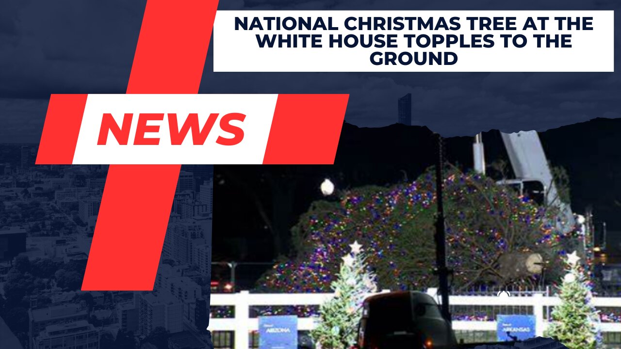 White House Christmas Tree Topples to the ground