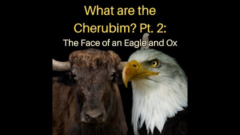 What Are the Cherubim Pt. 2: The Face of an Eagle and Ox
