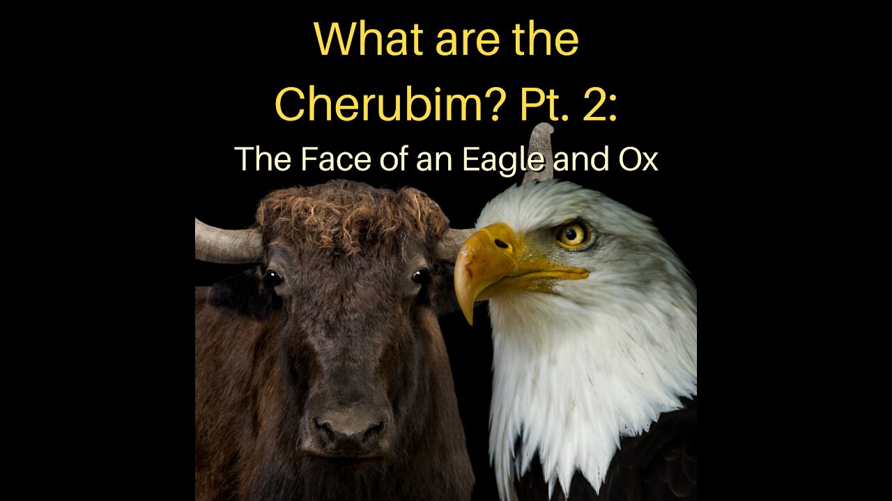 What Are the Cherubim Pt. 2: The Face of an Eagle and Ox