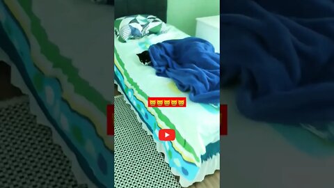 Gato Bartolomeu Tunico deitado na cama 😸😸