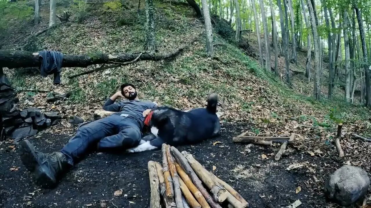 Camping, building wood and rock forest houses and fireplaces, quail cooking - survival, DIY $$ 7