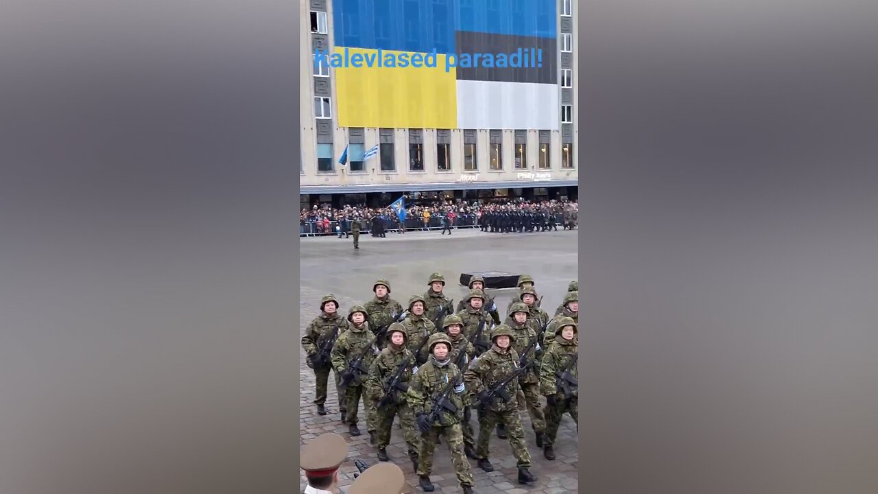 Little "Chihuahua" state of Estonia is ready to fight Russia