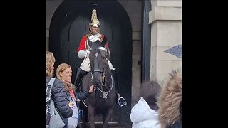 Another one holds the Reins #horseguardsparade