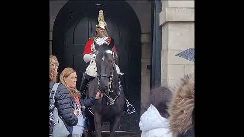 Another one holds the Reins #horseguardsparade