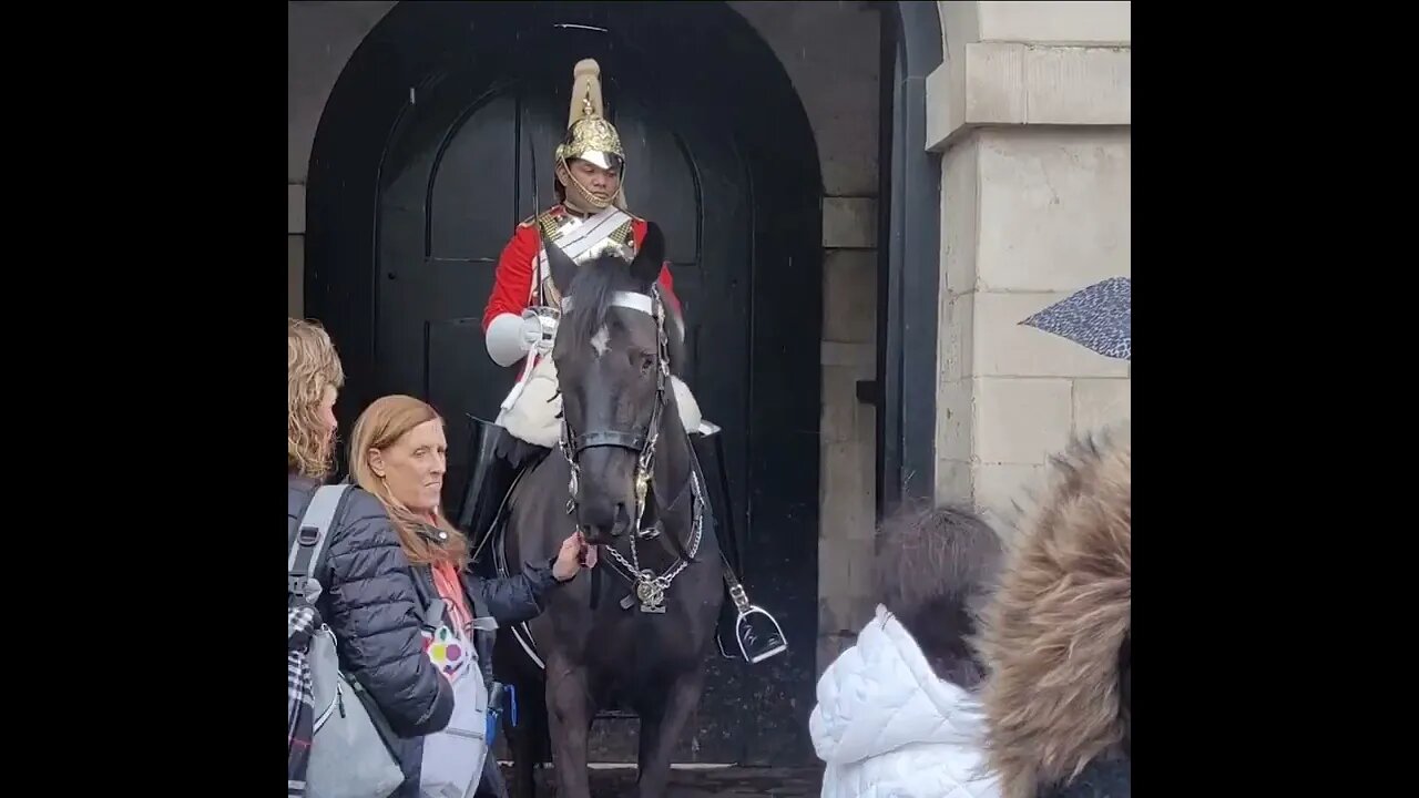 Another one holds the Reins #horseguardsparade