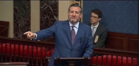 Ted Cruz gives compelling speech regarding mask mandate