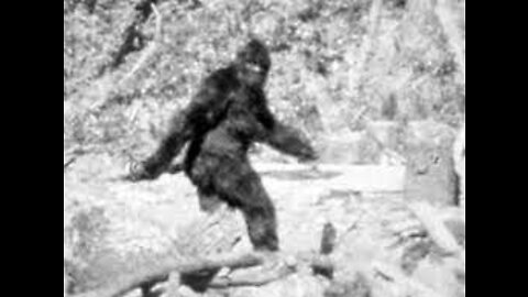 BIGFOOT PRANK