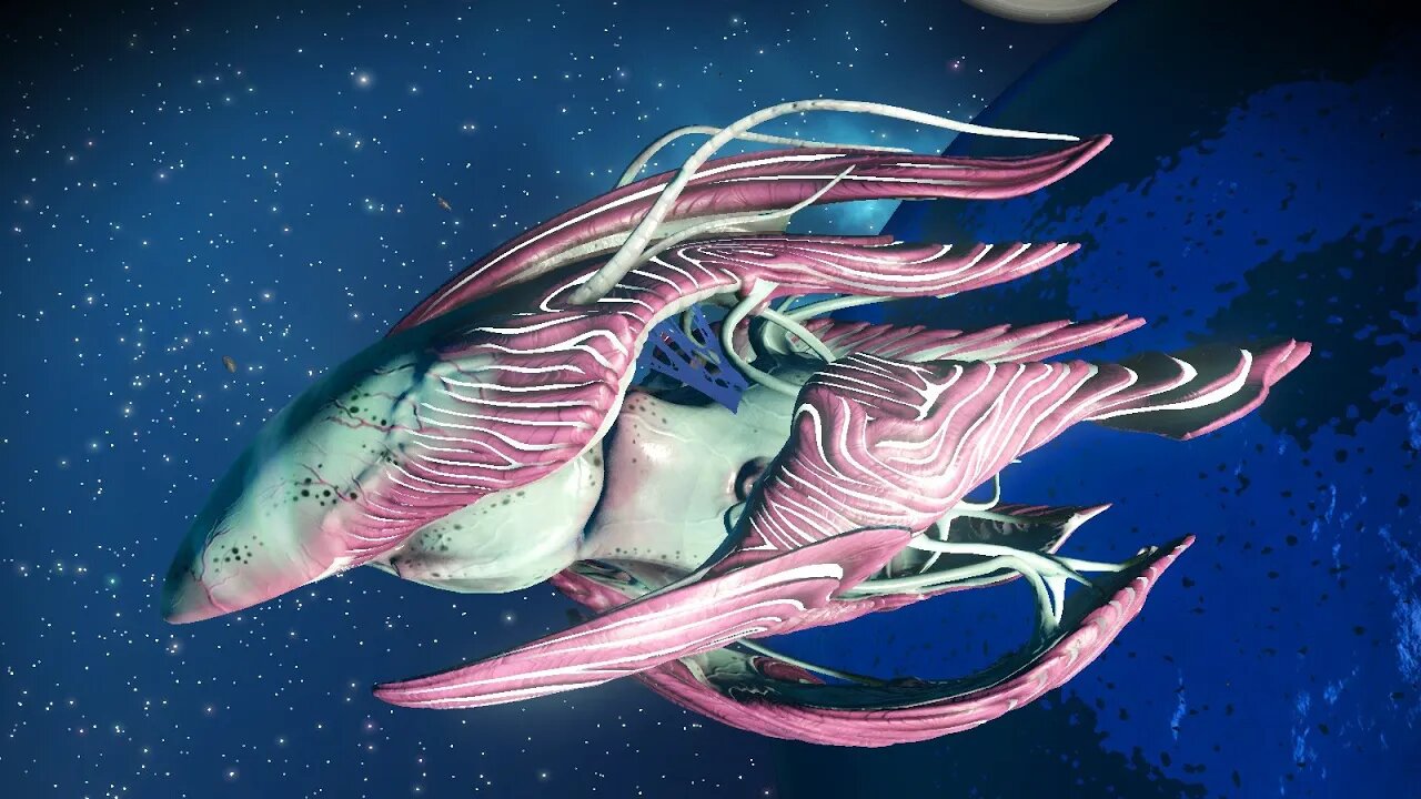 No Man's Sky - Itkyar AY8 - Living Ship Location