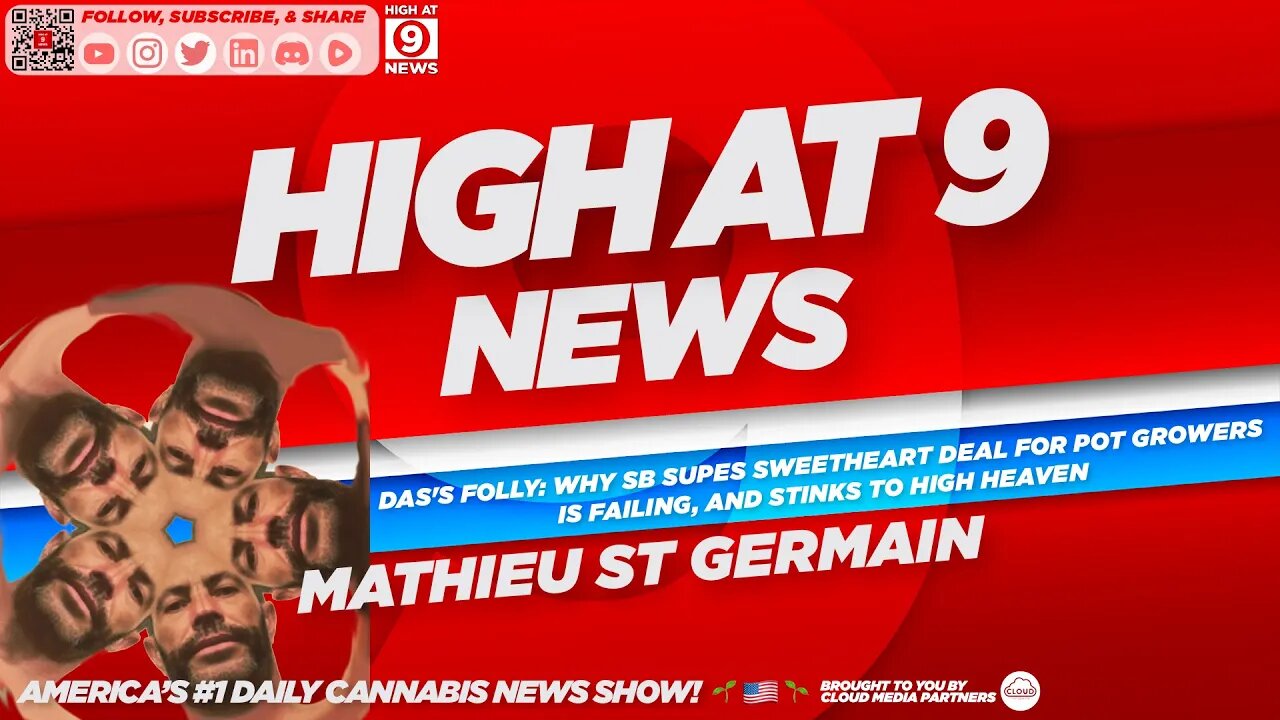 High At 9 News : Mathieu St Germain - DAS'S FOLLY: SB SUPES Sweetheart Deal For Pot Growers Failing