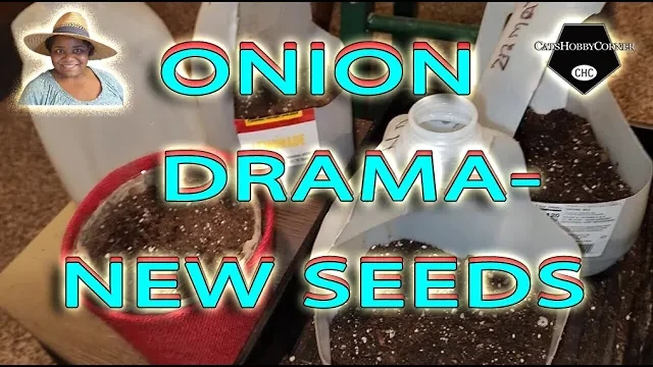 #onion Drama & New #seeds