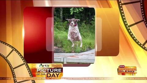 Art's Cameras Plus Picture of the Day for 9/8!