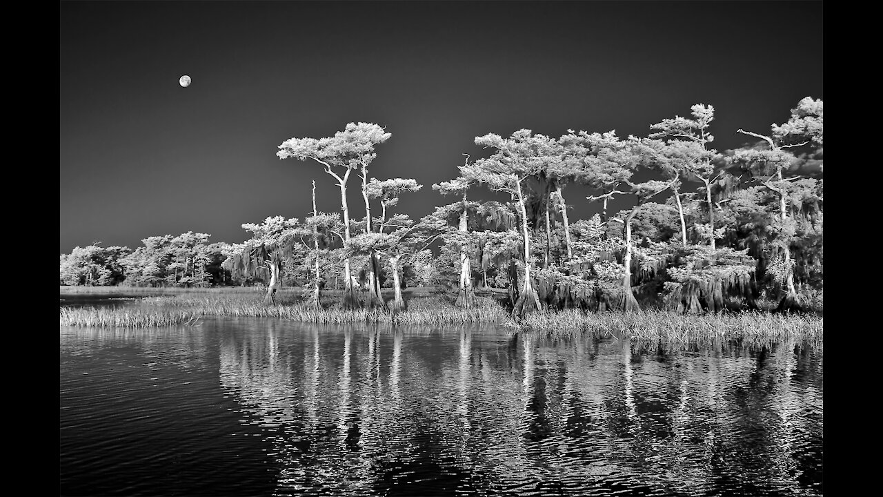 Infrared Photography Processing Tutorial