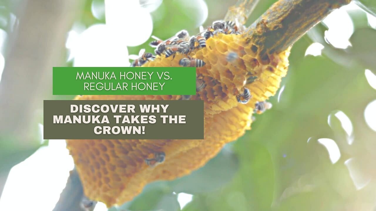 Manuka Honey vs. Regular Honey - Discover Why Manuka Takes the Crown!