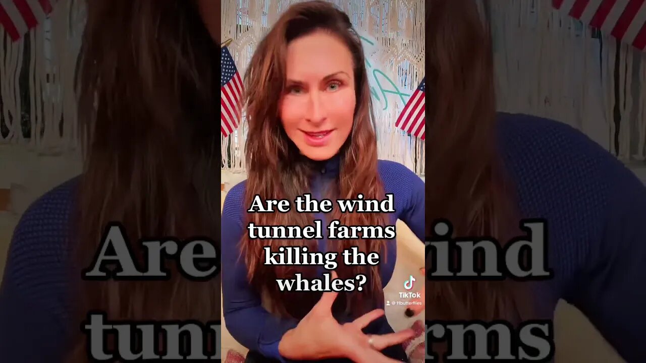 Where are the animal rights activists? #news #climatechange #shorts