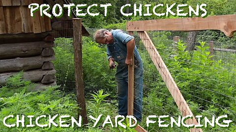 Chicken Yard Fencing & Protecting Chickens - The FHC Show, ep 26