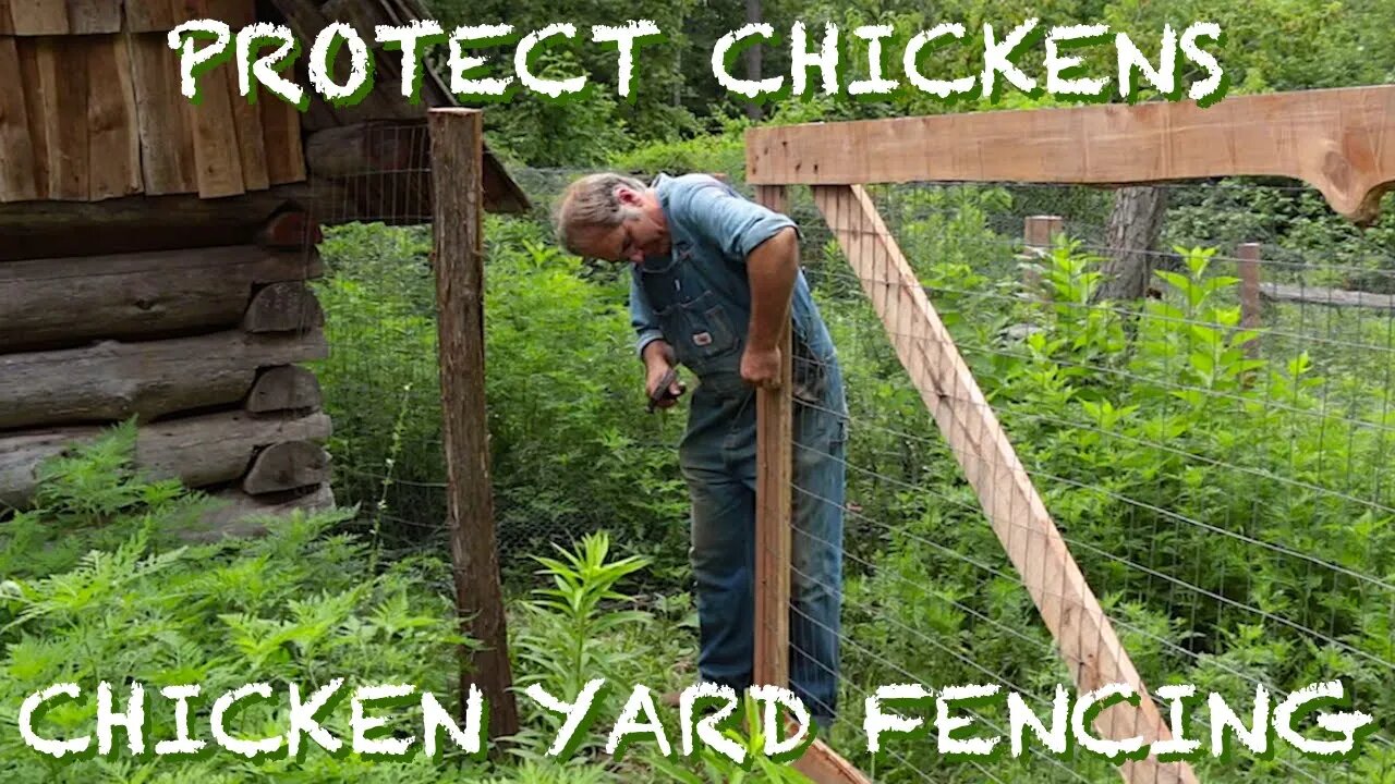 Chicken Yard Fencing & Protecting Chickens - The FHC Show, ep 26