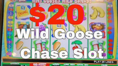 Playing $20 on Wild Goose Chase Slot at Green Valley Ranch Casino - Henderson, NV