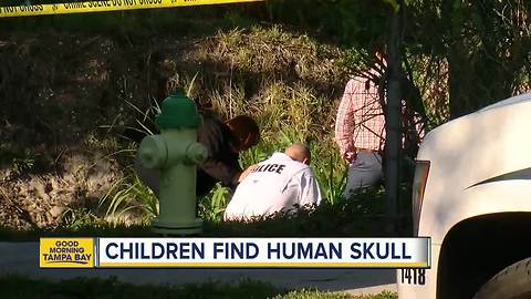 Children discover human remains in Sarasota