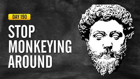 Stop Monkeying Around - DAY 190 - The Daily Stoic 365 Day Devotional