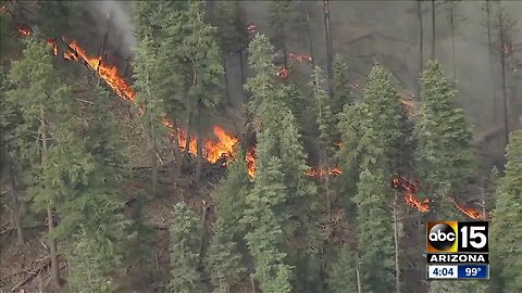 Evacuation orders begin for Museum Fire, disaster declared