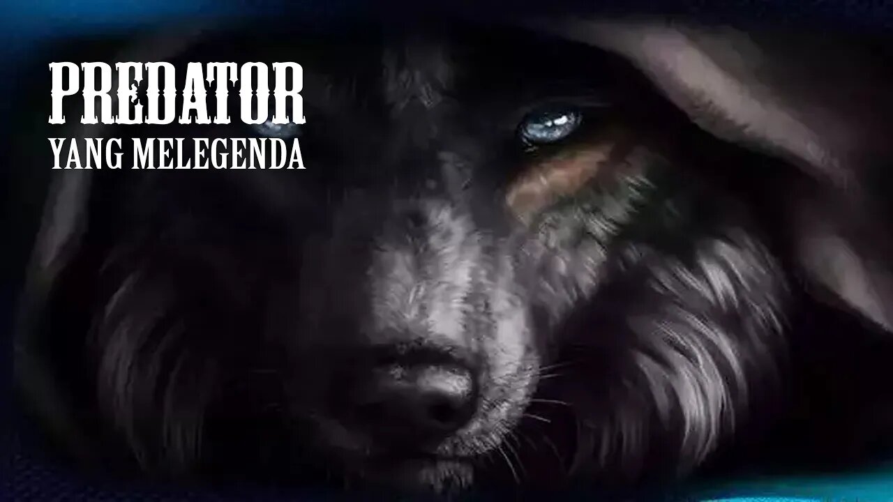 hewan predator yang sering dibuat legenda