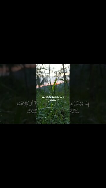 Surah Al-Isra Ayat 23-24 . #alquran #murottalmerdu #shorts