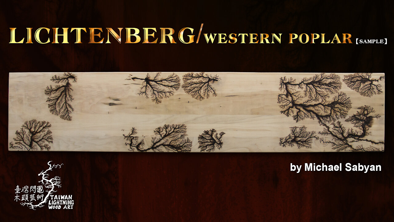 Lichtenberg on western poplar/sample/Ep1