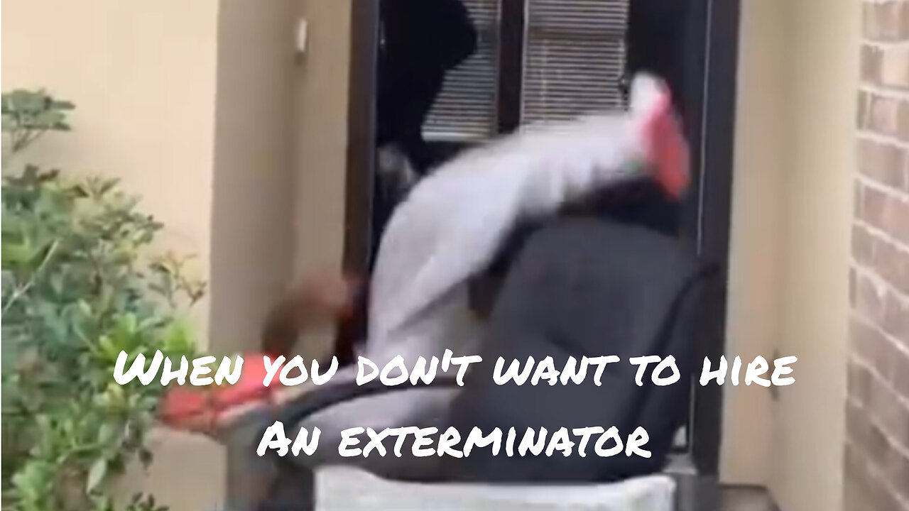 When you don't want to hire an exterminator