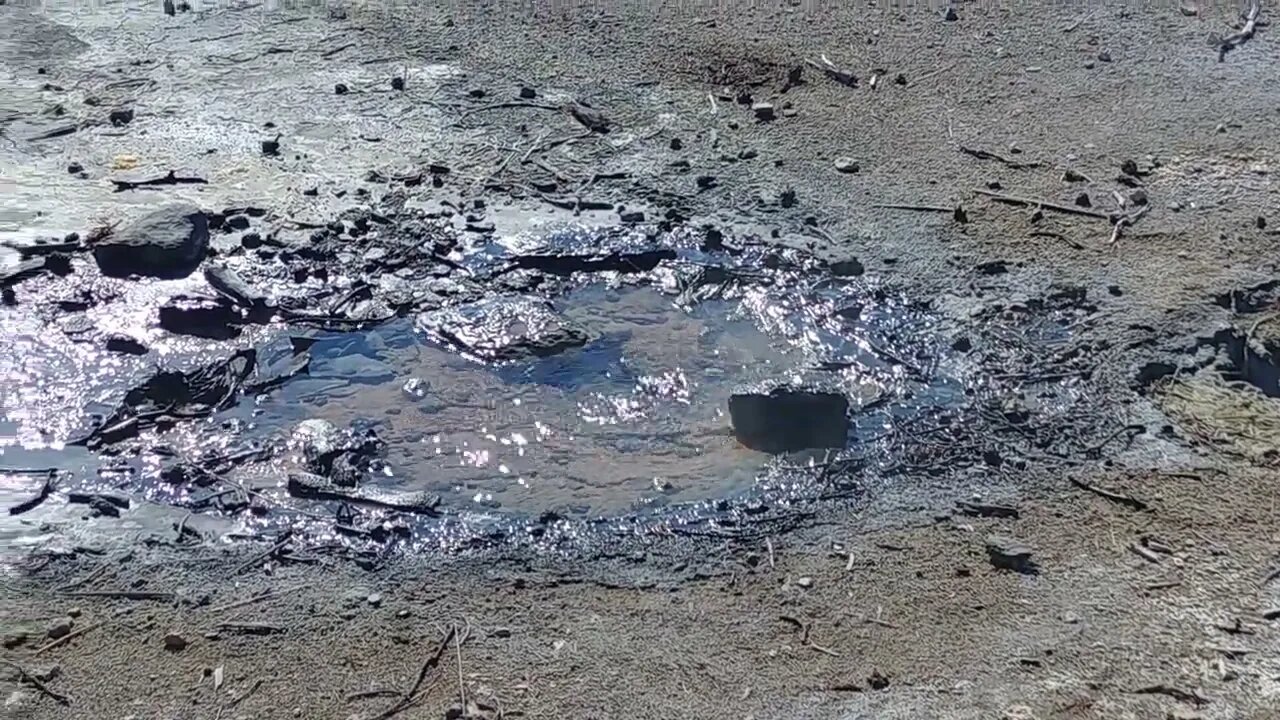 Norris Geyser Basin in Yellowstone