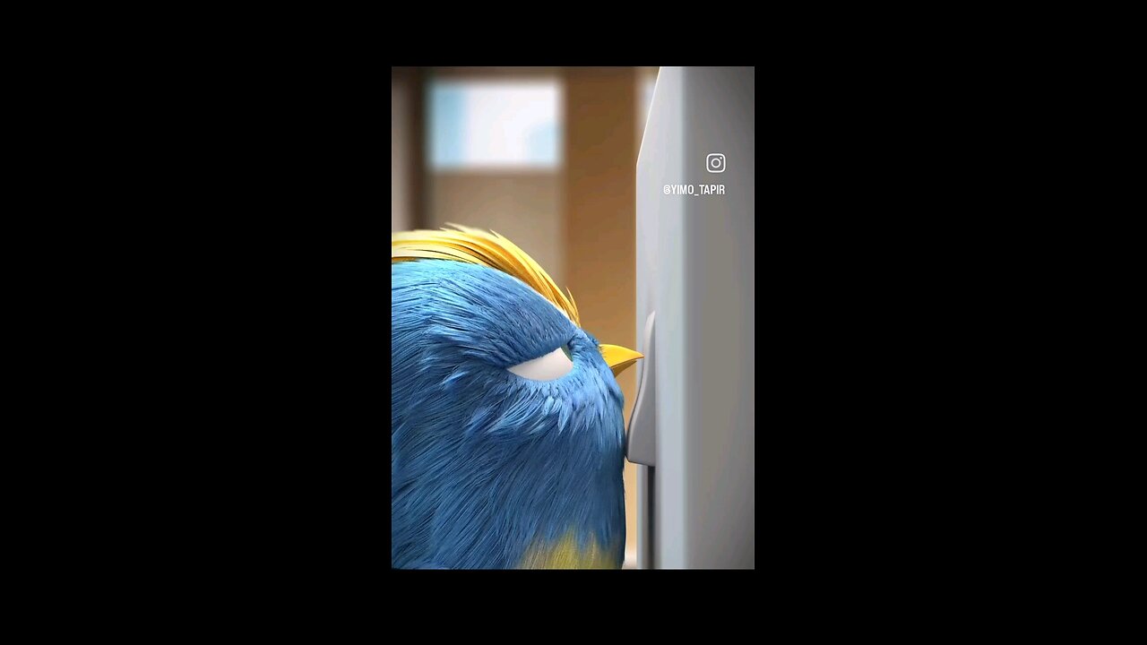 don't underestimate the birds