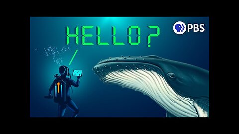 Could AI Let Us Talk to Whales?