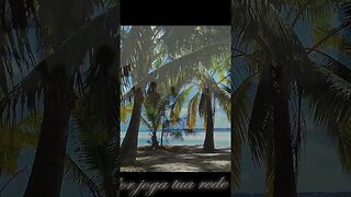 MPB com letra | Paisagem