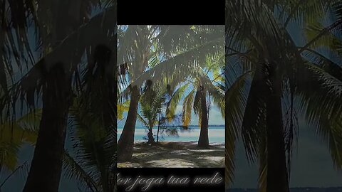 MPB com letra | Paisagem