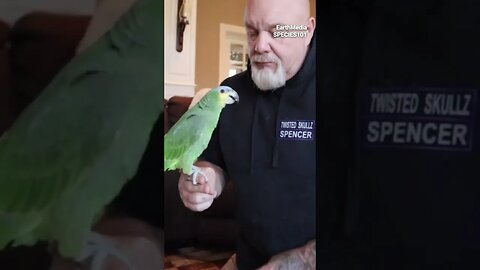 Meet Dave and Jamie
