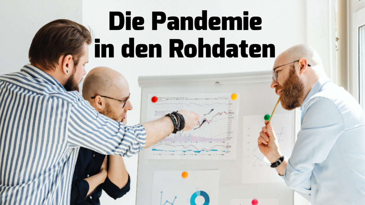 Die Pandemie in den Rohdaten